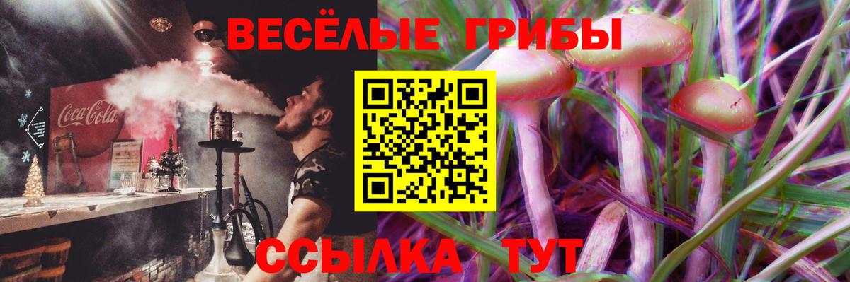 Галлюциногенные грибы Psilocybine cubensis Серов