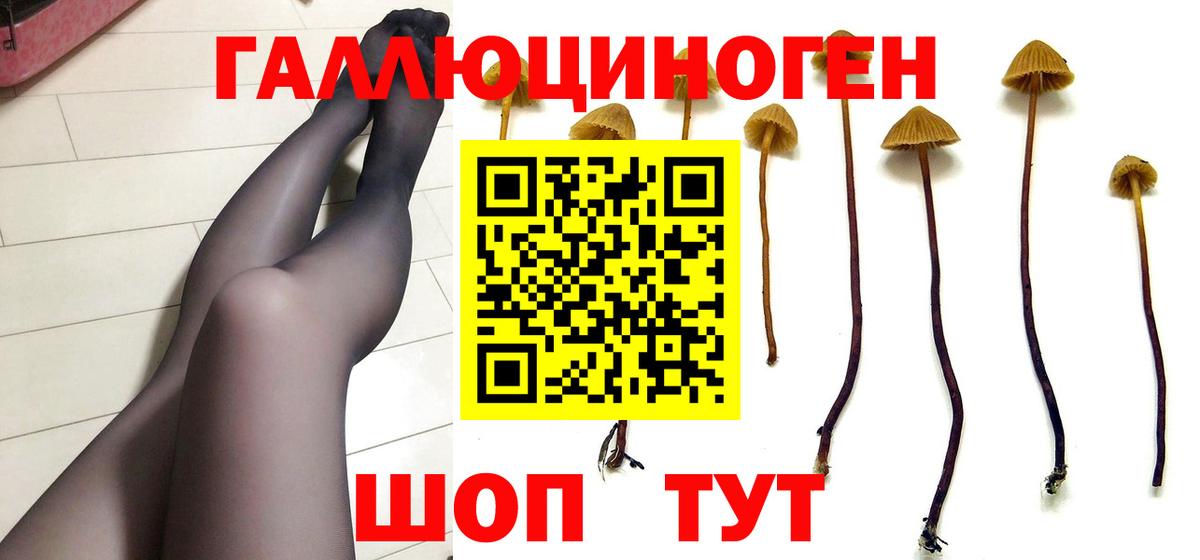 Галлюциногенные грибы мицелий  Вход с VPN  Серов 